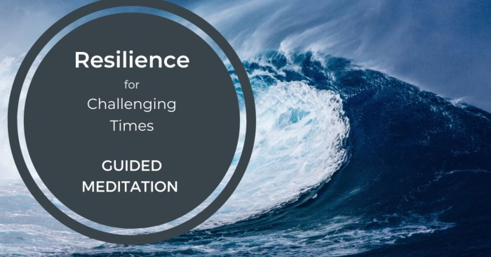 Resilience clarity meditation emotional guided inner minute Resilience clarity meditation emotional guided inner minute