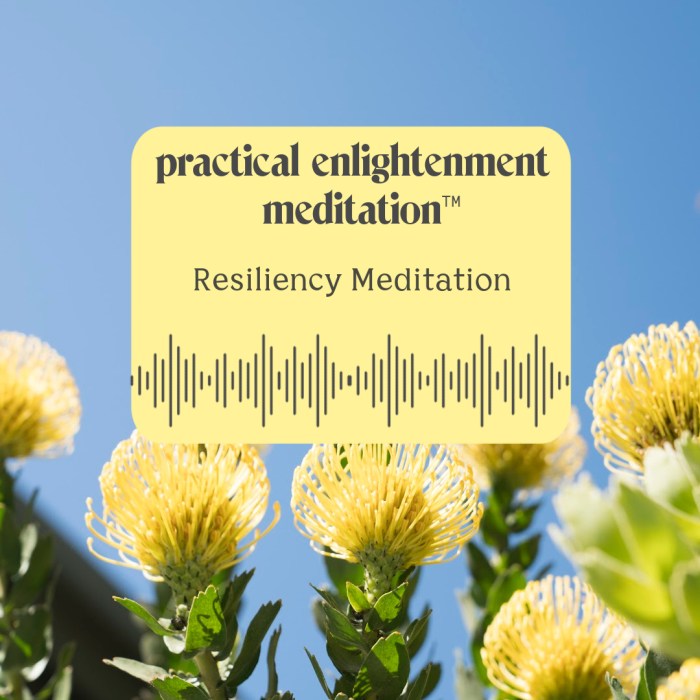 Mindful resilience Mindful resilience